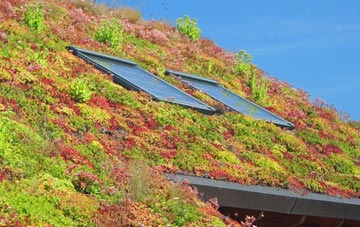Crowell Hill living roof systems